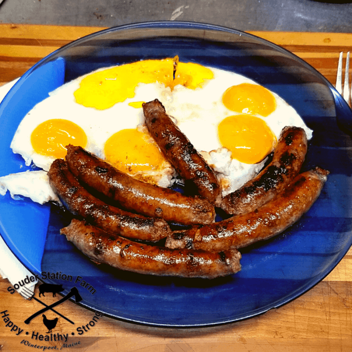 Bourbon Maple Syrup and Blueberry Breakfast Links Sausage Link